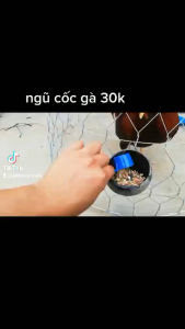ngũ cốc gà đá túi 1kg gồm 16 loại hạt