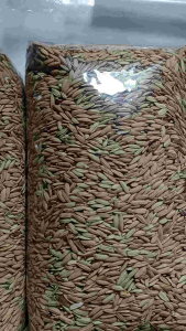 Benih Padi Beras Merah Pulen Kemasan 1 kg