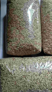 Benih Padi Beras Merah Pulen Kemasan 1 kg
