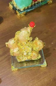 Cá Kim Long tài lộc trợ công danh phát triển sự nghiệp