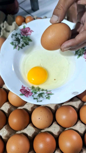 Telur Omega Premium (1 Pack isi 10 Butir)Telur Pilihan Berkualitas