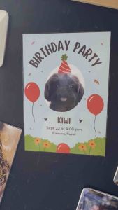 Custom Photo Magnets - Family Photos/Wedding & Birthday Invites