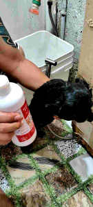 Primera Care Madre De Cacao Anti Tick & Flea Shampoo & Conditioner 1000ml or 1l for DOGS & CATS Meds