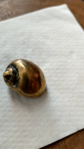 Patung keong buntet bahan kuningan asli