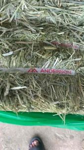 ไฟลุก 🔥อัพเดทเข้าใหม่ แบรนด์ Anderson หญ้ากระต่าย เขียว ก้านขนาดกลาง ไม่แข็งจัด สินค้าอัพเดทเข้าใหม่ หญ้าทิมโมธี กระต่าย หนู แกสบี้ เต่า 900g