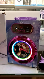 karaoke speaker machine with led display screen /supoort Bluetooth usb tf card aux rechargeable li-lion battery inside