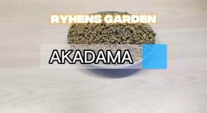 Japan Akadama Soil: Premium Hard Akadama for Bonsai & Plants