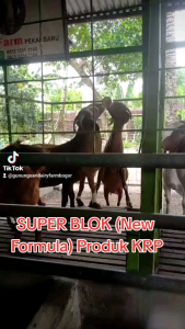 Mineral Blok 500 gram - SUPER BLOK - New formula - Mineral domba - Mineral kambing - Mineral sapi - Superblok - Mineral ternak - Mineral untuk domba - Mineral untuk kambing - Mineral untuk sapi