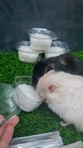 มะพร้าวฝอยอบแห้ง ขนมสำหรับแฮมสเตอร์ 15 กรัม