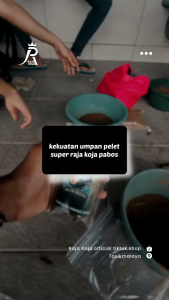 umpan pelet jitu siap pakai dan umpan dasaran untuk ikan mas ramean dan indukan aroma amis wangi gurih cocok di semua situasi dan kondisi