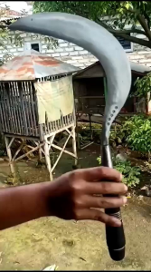 Arit Ranting: Panduan Lengkap Perawatan Tanaman & Peralatan Pertanian