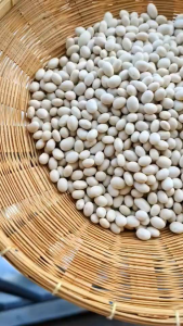 ถั่วขาว ถั่วขาวมัน ขนาด 1000 กรัม