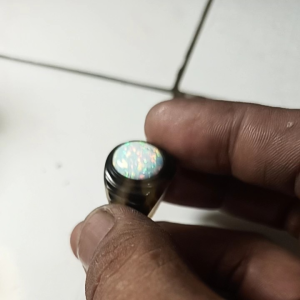 kalimaya australia