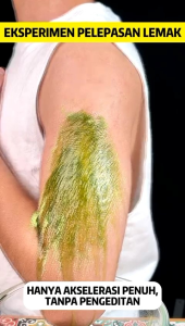 1 BOX PERFECT PLANT PROBIOTIC GREEN JUS | JUS SALAD SAYUR FRESH DIET | JUS SALAD SAYURAN INSTANT | JUS SALAD SAYUR DAN BUAH.