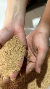 Hạt Trấu Sử Dụng Cho Máy bắɴ Trấu Vệ Sinh Họng nạρ Xupap Ô Tô
