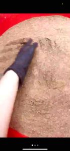 (Chính Hãng) Gói 1000gr Hạt Ngũ Hoa Xay - Hạt Đình Lịch Sạch Nguyên Chất Handmade.