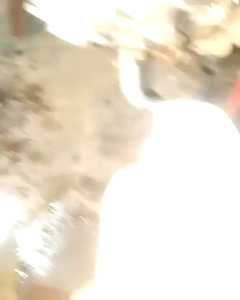 Pembersih Karat dan Kerak Mesin Motor/Mobil