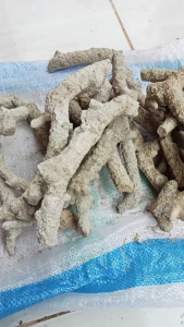 Batu Karang Jahe Media Filter Aquarium /1Kg