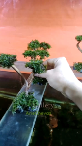 hiasan aquarium aquascape pohon bonsai mini model akar bonus moss