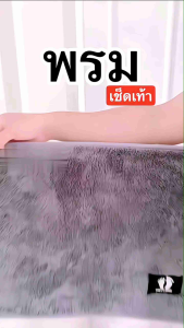 ส่งฟรี!! พรมเช็ดเท้าตัวหนอน ขนาด 40x60 ซม. เนื้อผ้านาโนขนนุ่ม ซับน้ำได้ดี ดักเก็บฝุ่นและสิ่งสกปรก ผ้าอ่อนนุ่มสบายเท้า มีหลายสีให้เลือก