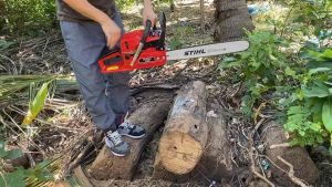 เลื่อยยนต์ รุ่น 5900 5 แรง บาร์โซ่ 22 นิ้ว (หัวเลส) + บาร์โซ่ 11.5 นิ้ว (1ชุด)