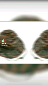 หมวก กันแดด เดินป่า (Bucket)