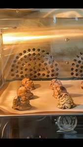 พิเศษลด50% ซอฟคุกกี้ดาร์กช็อก