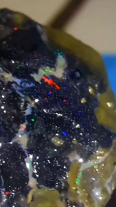 black Opal Sempur 1 kg TERMURAH