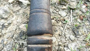 Arit Bintang 9ss Lebar Dan Tebal Asli Madura / Sabit Baja Asli Super Tajam / Arit Tebang Tebu Super Tajam / Sabit Rumput Gajah Super Tajam / Arit Tebas Ranting Pohon / Arit Madura Jumbo / Arit Baja Tebal Tajam / Arit Untuk Tebas Bambu / Arit Baja Jumbo²