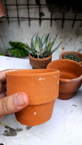 Middle Clay Pots (4pcs for P200)
