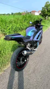 Knalpot Racing CBR 250RR & Ninja 250 Mono R25 MT-25 / Triton XR-5 - Hitam NINJA 250FI