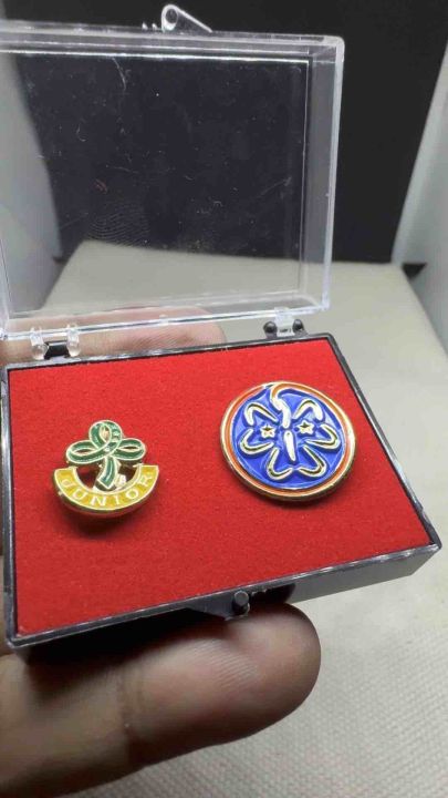 2 Pins+Case | GSP Pin + World Pin | Twinkler Star Junior Senior Scout Pins