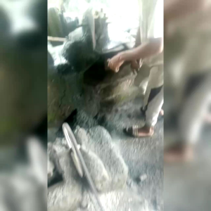 Lumpang batu aslifree tumbukan termurah terlais sudah satu set lengkap