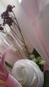 ช่อธนบัตร ช่อเงิน ข่อรับปริญา