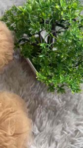 SCRUNCHIE CEPOL HIJAB ANTI PUSING IKAT RAMBUT CEPOL HIJAB