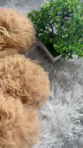 SCRUNCHIE JUMBO IKAT RAMBUT CEPOL ANTI PUSING TULLE PREMIUM SOFT