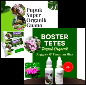 Pupuk Organik Guano Untuk Tanaman Hias