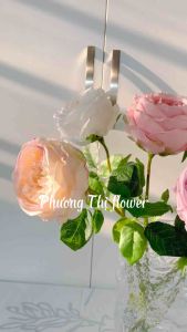 Hoa hồng giả hoa hồng cao su David hoa hồng giả trang trí hoa hồng cao cấp