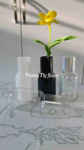 Bình cắm hoa thuỷ tinh bình cắm hoa cổ cao bình cắm hoa decor