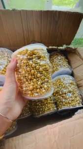 สายสังวาลย์มุก มุกแบบเหลี่ยม ตกแต่ง ทำสายสังวาลย์🇨🇷พร้อมส่งในไทย