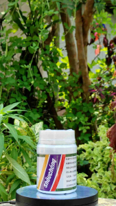Shoucheng Pupuk Daun Pemacu Pembungaan Dan Pembuahan 250 Gram