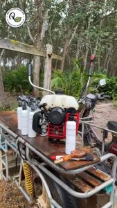 (Early Bird) น้ำยาทำความสะอาด เครื่องตัดหญ้า สูตรเข้มข้น ขนาด250 ml