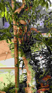 Kitab TANWIRUL QULUB