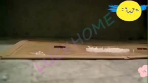 LEM PAPAN JEBAKAN TIKUS LALAT KECOA SERANGGA PEMBASMI HAMA MURAH TERBARU