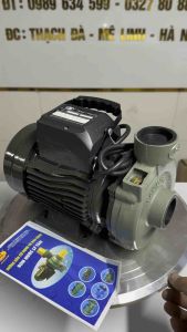 MÁY BƠM NƯỚC 750W BẢO LONG HÀNG VIỆT NAM CHẤT LƯỢNG CAO TẶNG REN HÚT SẢ VÀ BĂNG TAN