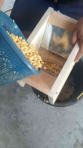 GILINGAN PEMECAH KEDELAI