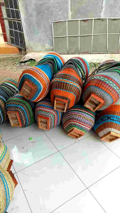 kiso fiber murah buat ayam Bangkok ayam pelung harga murah