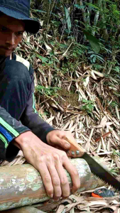 Gergaji Potong untuk Kayu dan Bambu Siap Pakai