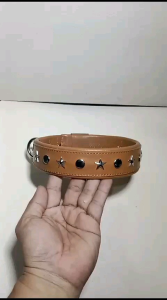 Kalung Pelindung Anjing: Pilihan Desain Unik & Warna-warni