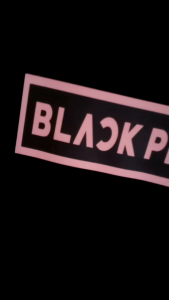 Sweater Hoodie Black Pink Kpop Korea Fleece Pria Wanita M-XXL